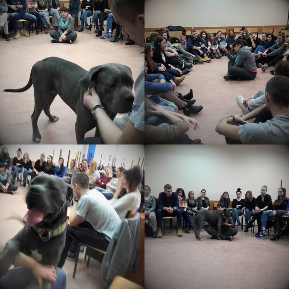 Podziwiajcie jak CC mogą pracować na rzecz edukacji LUBIMY TO !